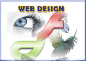Web Designer